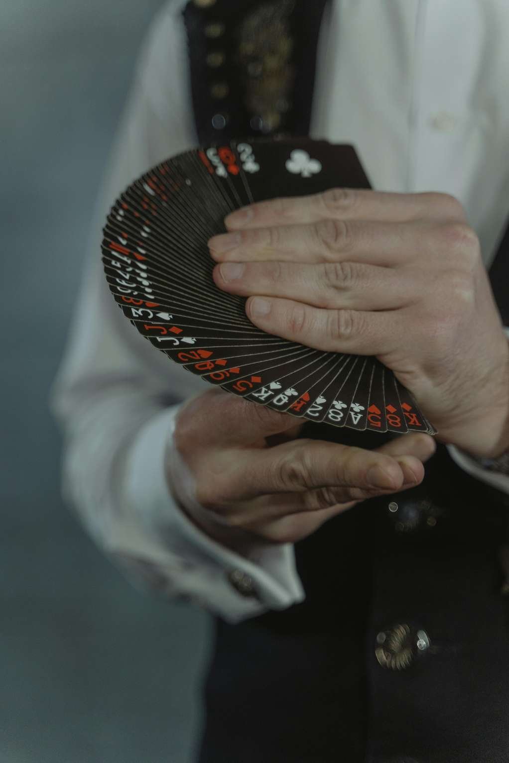 Raptor casino